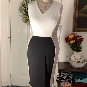 Maggy London body con dress